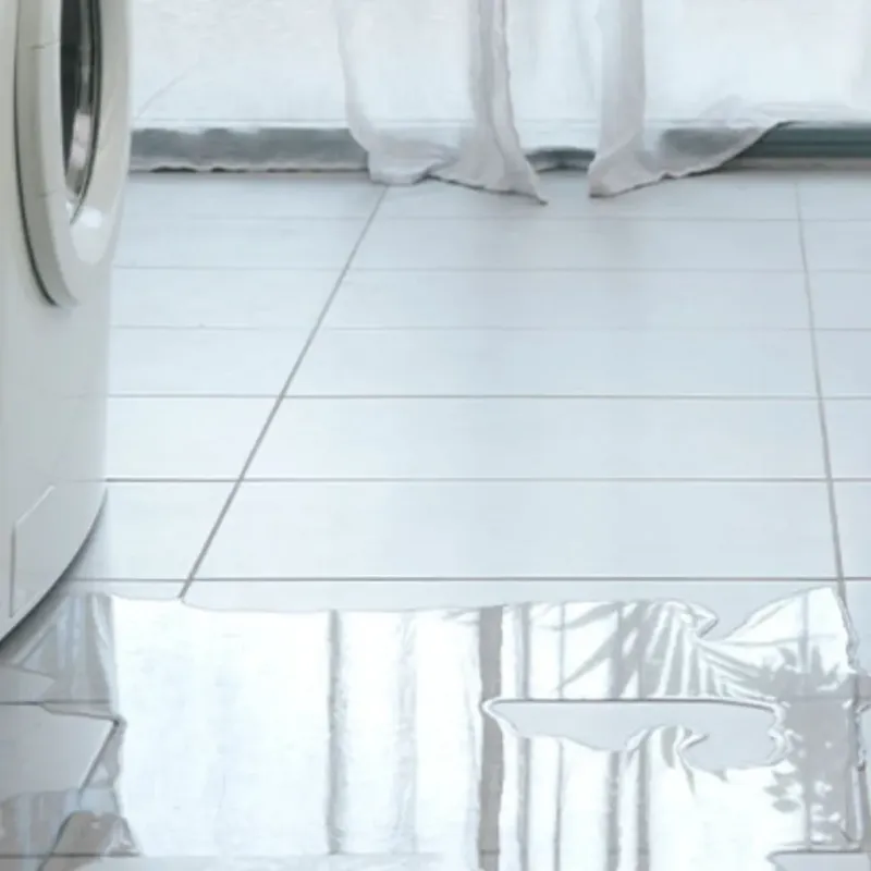 Appliance Leak Cleanup in Valdosta, GA