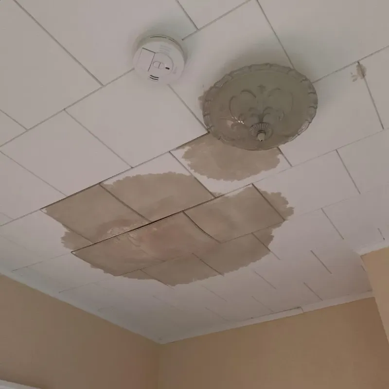 Ceiling Water Damage Repair in Valdosta, GA